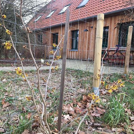 Broockhof Ferienwohnung Unterm Sternenhimmel In Mecklenburg Reimershagen ภายนอก รูปภาพ