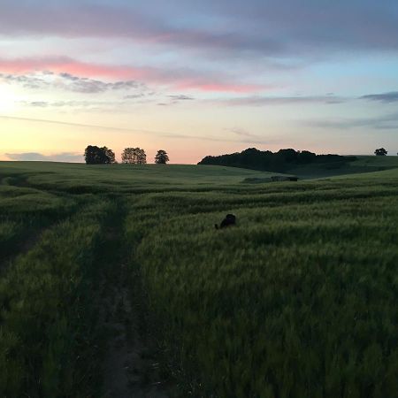 Broockhof Ferienwohnung Unterm Sternenhimmel In Mecklenburg Reimershagen ภายนอก รูปภาพ