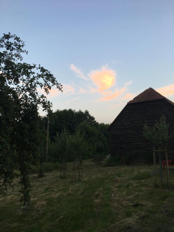 Broockhof Ferienwohnung Unterm Sternenhimmel In Mecklenburg Reimershagen ภายนอก รูปภาพ